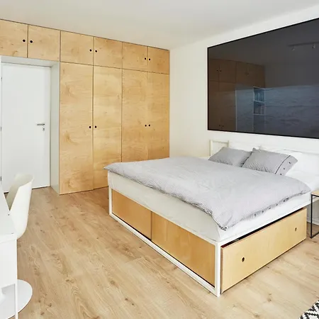 Apartment Vlnka *